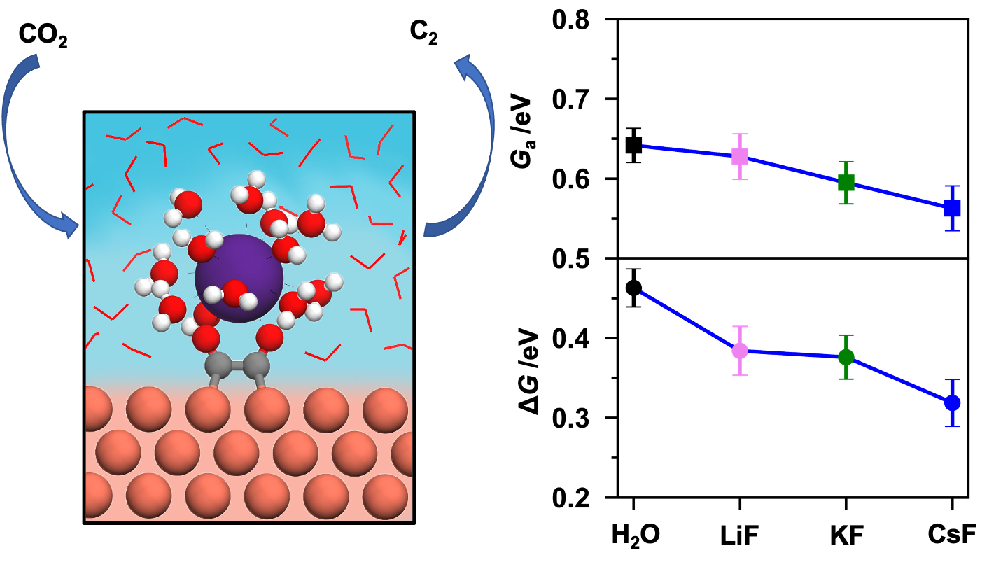 物质学院杨波课题组揭示碱金属阳离子对电催化二氧化碳还原的促进作用机制