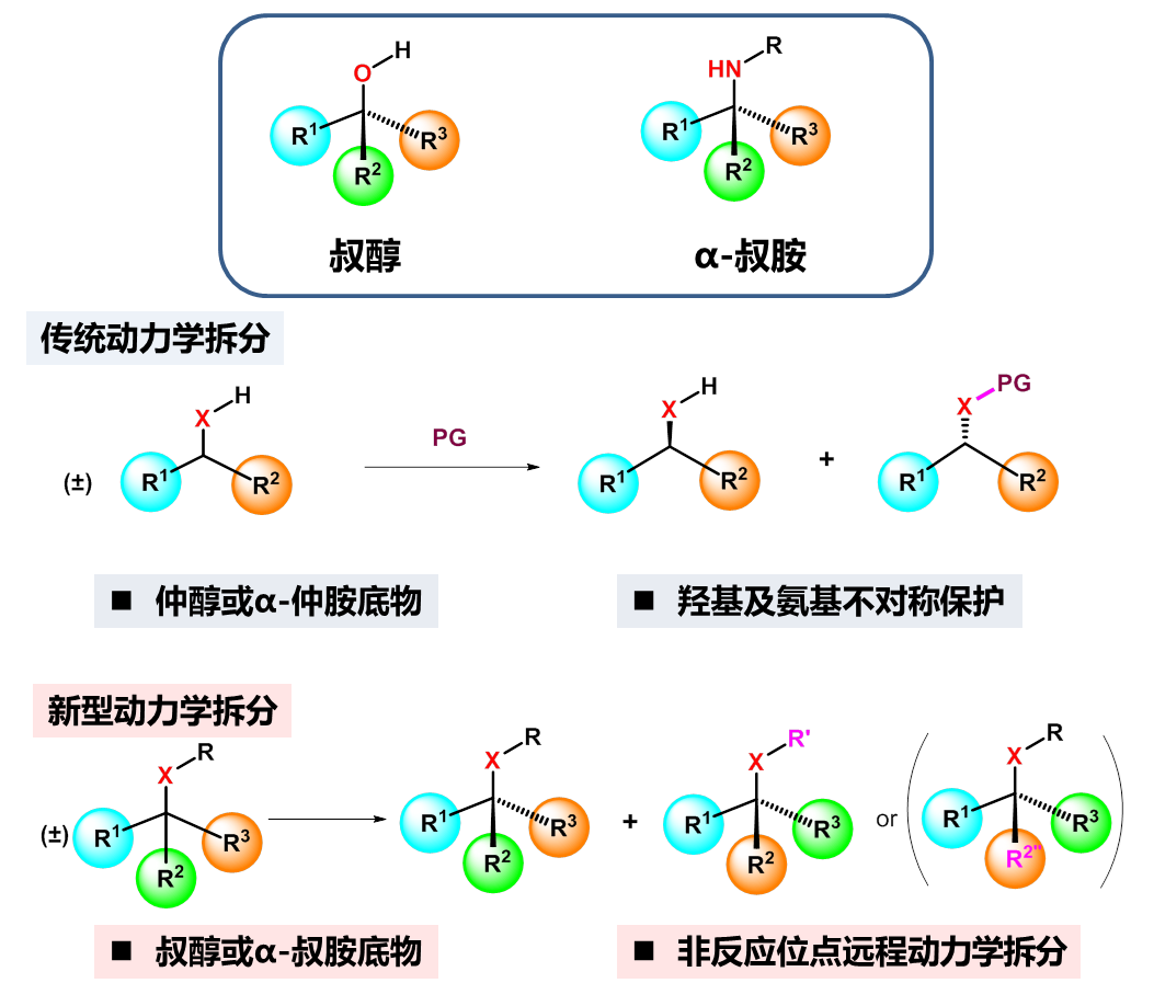 物质学院杨晓瑜课题组在叔醇和α-叔胺动力学拆分领域取得系列进展