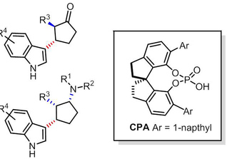 Novel Method for Chiral Indole Derivatives Synthesis Through Chiral Anion Catalysis