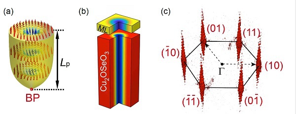 拓扑物理实验室张石磊团队在三维磁结构表征方法学中取得重要进展
