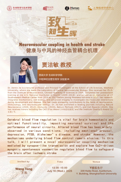 健康与中风的神经血管耦合机理