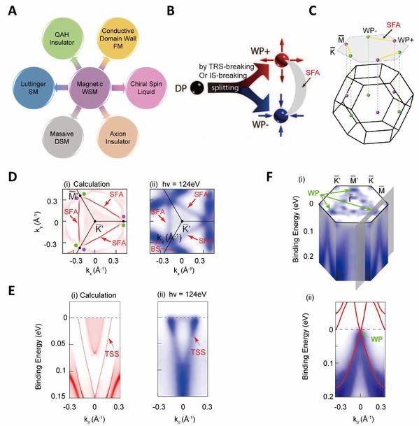 物质学院研究团队与合作者在国际顶尖学术期刊Science发表重要研究成果