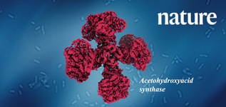 SIAIS and University of Queensland Researchers Unveil the Complete Structures of Plant and Fungal Acetohydroxyacid Synthase: The First Enzyme in the Branched-Chain Amino Acid Biosynthesis Pathway  