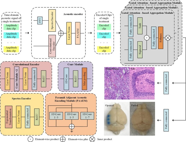 生医工学院程冰冰课题组发表聚焦超声开放血脑屏障技术新进展