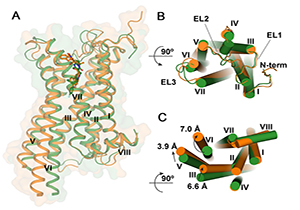 iHuman Makes Progress in Polypharmacological Drug Development