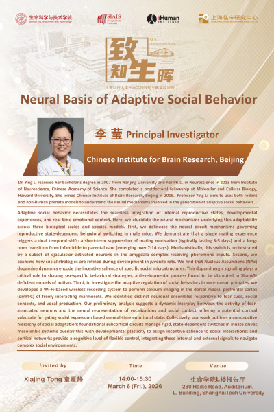 Neural Basis of Adaptive Social Behavior