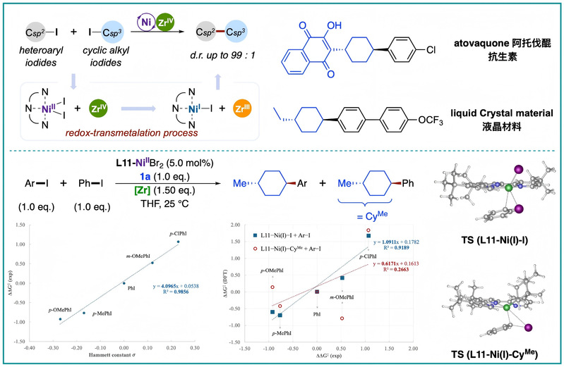 物质学院叶柏华课题组开发锆氮丙啶介导镍催化亲电交叉偶联反应