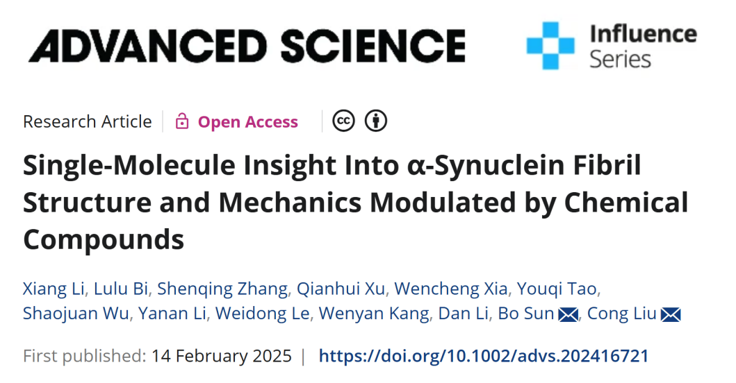 生命学院孙博组与合作者两项研究解析α-syn淀粉样纤维结构稳定性的分子机制