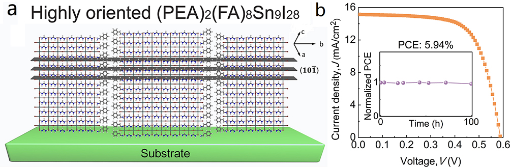 物质学院宁志军组研发出高稳定性锡钙钛矿太阳能电池