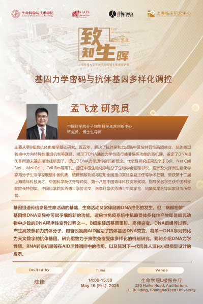 基因力学密码与抗体基因多样化调控
