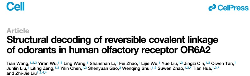上科大刘志杰团队揭示嗅觉受体共价键“牵手”醛类气味分子的感知新范式