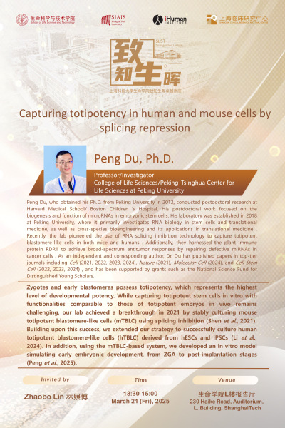 Capturing totipotency in human and mouse cells by splicing repression