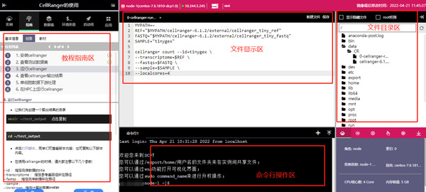 师生协作，上科大教学实训平台又添新内容