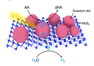 Ning Lab Developed a High Efficiency and Low Toxicity Photocatalytic Hydrogen Generation Material with Broad Absorbance in Visible Region