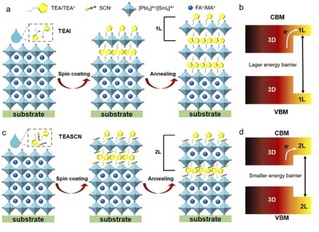 New progress in research on narrow band gap perovskite solar cells   