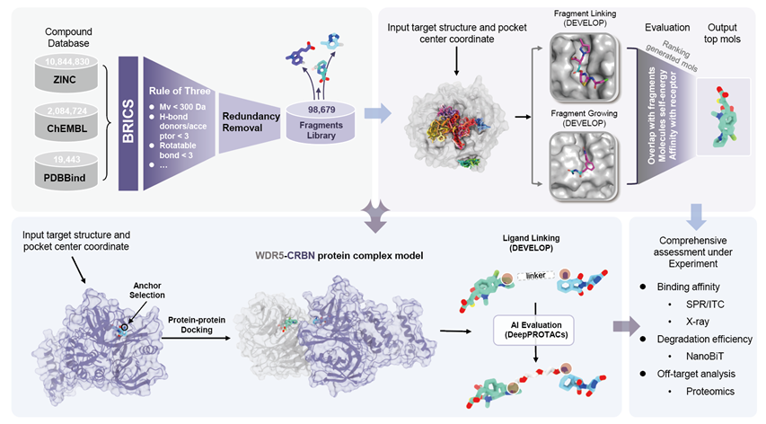 免化所白芳课题组开发靶标结构感知生成AI模型助力PROTAC与配体分子从头设计