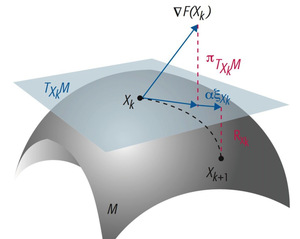 MATHEMATICAL SCIENCES