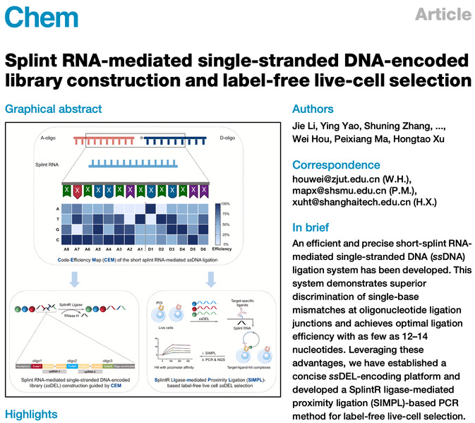 免化所许红涛与合作者报道RNA介导的单链DNA编码化合物库编码与活细胞筛选系统