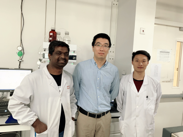 物质学院杨晓瑜课题组在2-氨基烯丙基叔醇高效动力学拆分领域取得进展