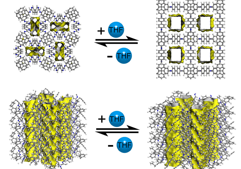 Zhang Yuebiao's Group Discovered a “Breathing” Covalent Organic Framework