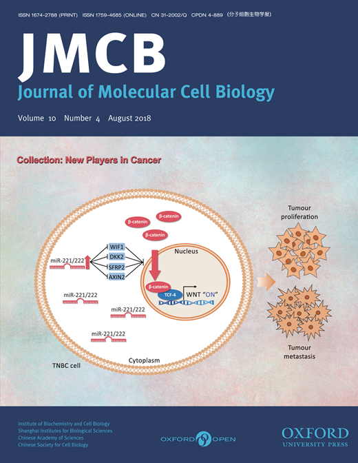 免疫化学研究所揭示三阴性乳腺癌Wnt/β-catenin信号通路激活的机制