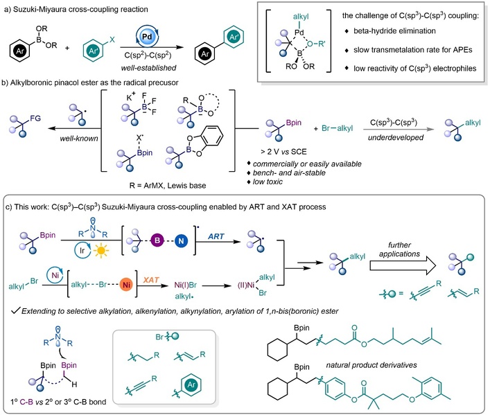 物质学院高得伟课题组发展了胺基自由基促进的光/镍协同催化构建C(sp³)–C(sp³)键的新方法