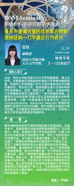 基于布里渊光谱的球形聚合物刷微纳结构—力学耦合行为研究