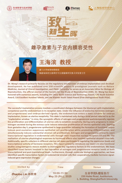 雌孕激素与子宫内膜容受性