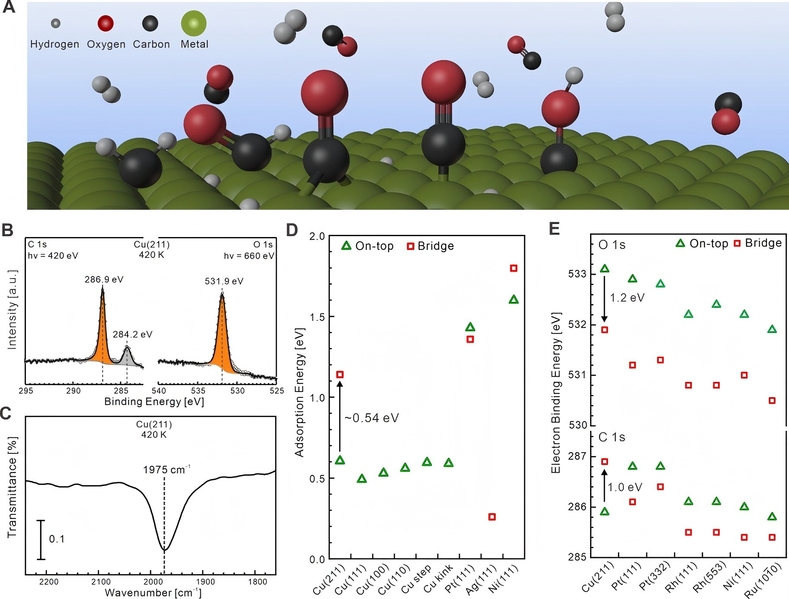 上科大刘志团队与合作者发现动态催化：铜表面原位重构驱动的桥位CO