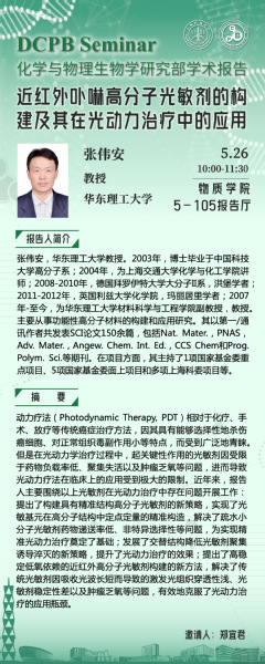 近红外卟啉高分子光敏剂的构建及其在光动力治疗中的应用