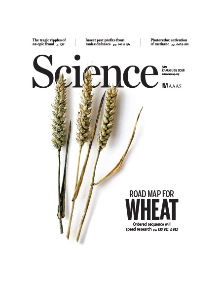 《Science》发表上科大年轻团队重大突破：光能+廉价稀土金属=室温甲烷绿色转化新途径