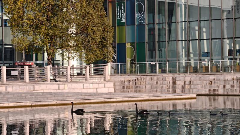 节气上科大 | 岁末有暖，新年有光