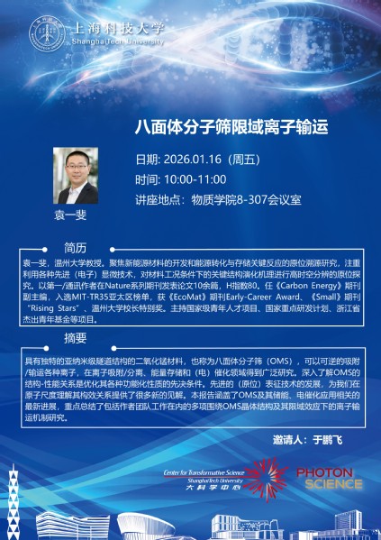 八面体分子筛限域离子输运