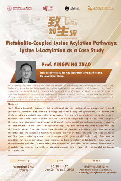 Metabolite-Coupled Lysine Acylation Pathways: Lysine L-Lactylation as a Case Study