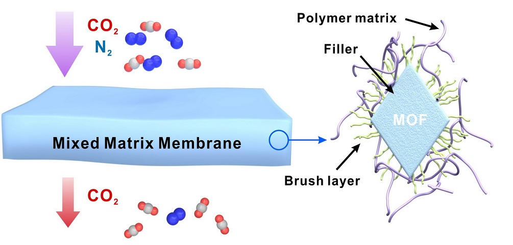 图1.混合基质膜气体分离过程示意图.
