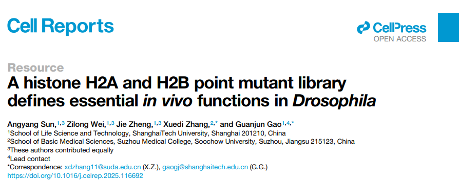 生命学院高冠军课题组在组蛋白表观遗传学研究中取得重要进展