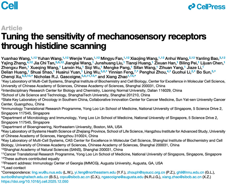 生命学院孙博课题组合作发现调制TCR等力感应受体敏感性的普遍机理