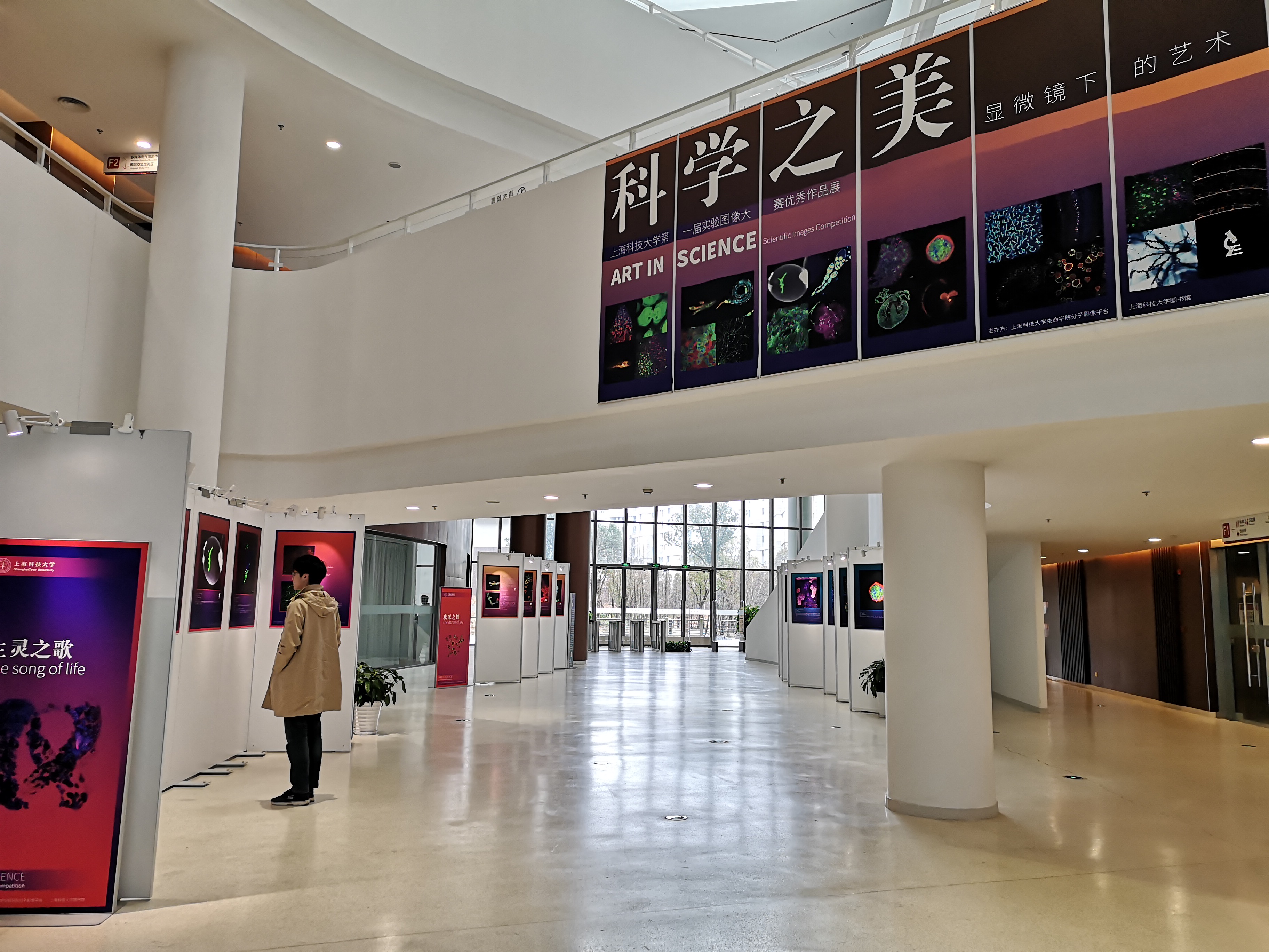 "科学之美:显微镜下的艺术"实验图像作品展亮相上科大