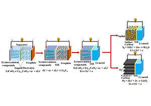 SPST Professor Publishes Lithium Battery Review