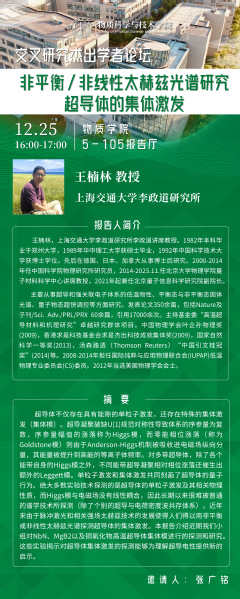 非平衡/非线性太赫兹光谱研究超导体的集体激发