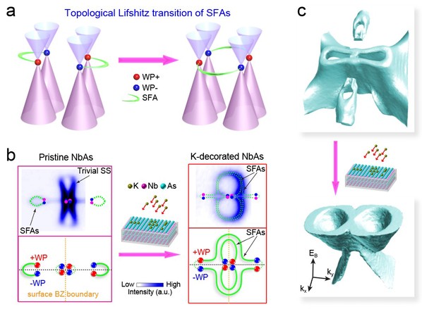 物质学院陈宇林-柳仲楷课题组实现拓扑半金属电子结构原位人工调控