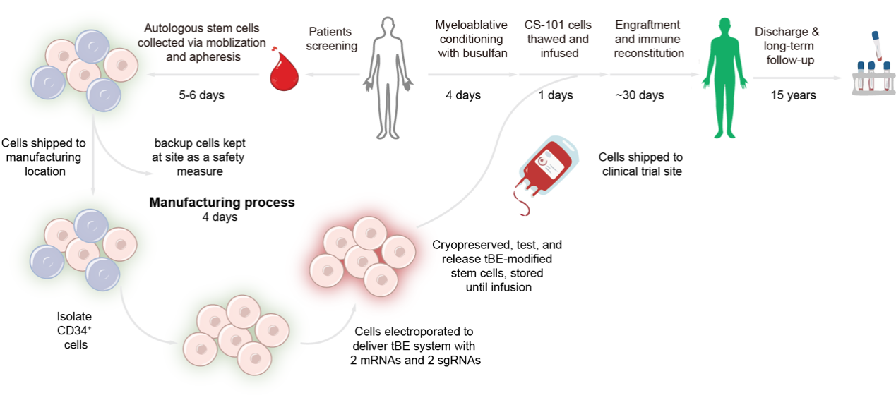 全球首个体外碱基编辑药物管线临床结果登顶《自然》：中国原创技术为地贫患者带来治愈曙光