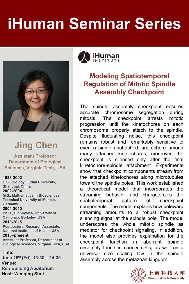 Modeling Spatiotemporal Regulation of Mitotic Spindle Assembly Checkpoint Biology Diagrams