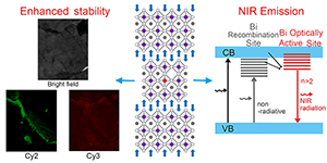 SPST Researchers Discover New Strategy to Stabilize Solar Cell Perovskites