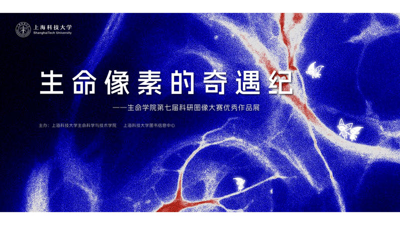 生命像素的奇遇纪——生命学院第七届科研图像大赛优秀作品展