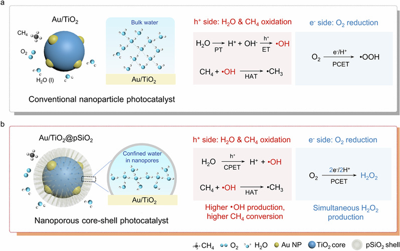 物质学院谢辰璐课题组在甲烷高值化催化转化研究中取得新进展