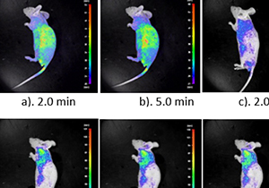 Newly Developed Light-Responsible Fluorogenic Bioorthogonal Reaction A Tool For Chemical Biology