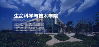 生命科学与技术学院