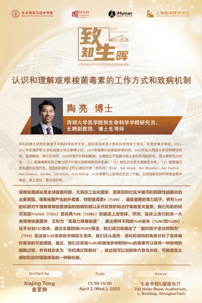 认识和理解艰难梭菌毒素的工作方式和致病机制