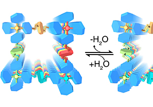 Zhang Yuebiao’s Group Uncovered New Dynamics in Covalent Organic Frameworks